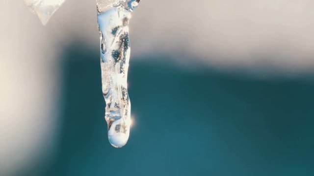 The icicle melts in the rays of the spring sun. Drops of water run down the melting icicle close up