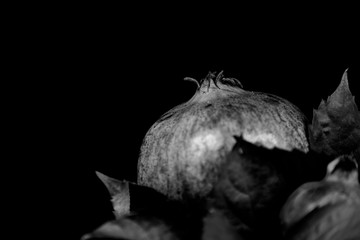 Pomegranate composition with leaves on a black background