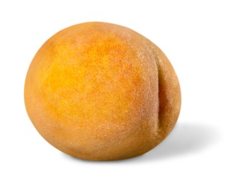 Apricot