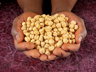 MAN HOLDING DRIED CHICKPEAS