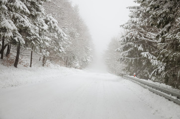 foggy winter road through forest