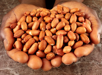 Obraz premium MAN HOLDING RED PEANUTS