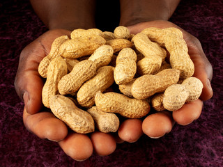 MAN HOLDING PEANUTS IN SHELLS OR MONKEY NUTS