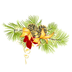 Christmas and New Year decoration fir tree branch with pine cones with golden and red festive poinsettia on a white background vintage vector illustration editable hand draw