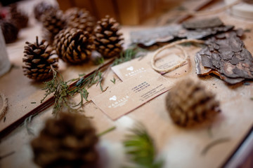 pine cone and christmas 
