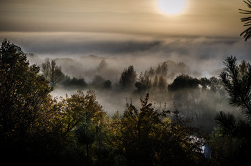 Foggy autumn sunrise on a village in Russia. Dense clouds over the Lesmo in the morning time