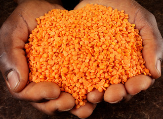 MAN HOLDING RED SPLIT LENTILS