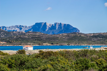 Spiaggia de Le Vecchie Saline e Isola di Tavolara