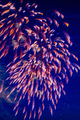 Fireworks light up the sky with dazzling display