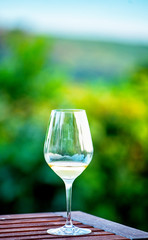 White wine on the table in the garden