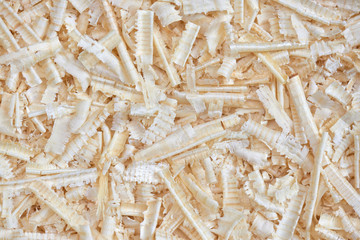 Background of shavings from pine