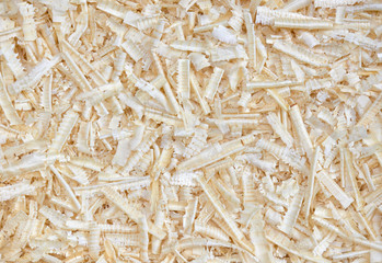 Background of shavings from pine