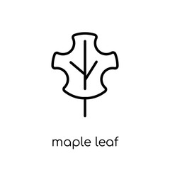 Maple leaf icon from Camping collection.