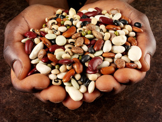 MAN'S HANDS HOLDING MIXED DRY BEANS