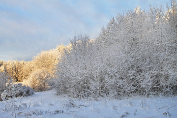 Зимнее настроение