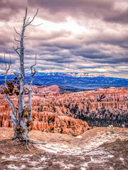 bryce canyon national park
