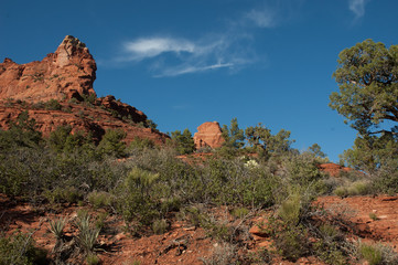 Fototapeta premium Arizona