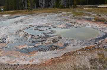 UPPER GEYSER BASIN YELLOWSTONE NATIONAL PARK (WYOMING) USA