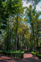 Longshot of a green park