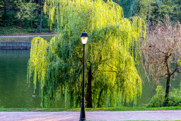 the lantern in park © Andrey