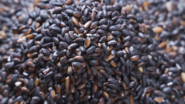 Black rice rotates. Close-up