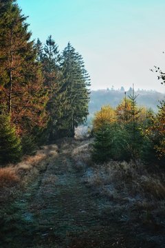 Rothaar 1