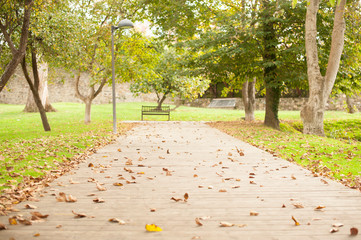el parque en otoño