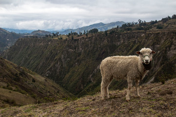 Splendidi panorami durante il trekking alla laguna di Quilotoa, Ecuador