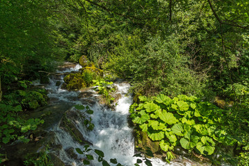 Obraz premium Landscape with Iskar Gorge and small waterfall at Vazova trail, Balkan Mountains, Bulgaria
