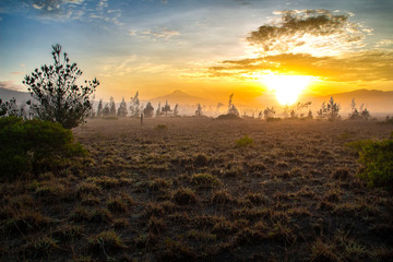 Meravigliosa alba in Machinguì, con vista dei vulcani Cayambe, Cotopaxi e Pichincha. Ecuador
