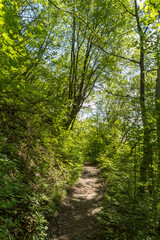 Obraz premium Landscape with Iskar Gorge and Vazov trail, Balkan Mountains, Bulgaria