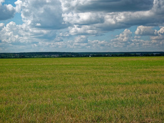 a field with cut grass on a cloudy day in summer