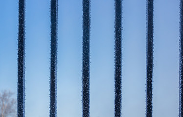 Frozen fence. Snow on a cold fence. Winter picture