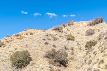 Fototapeta na wymiar Dry hillside for hiking into blue sky and room for copy text