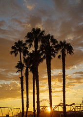 Obraz premium Santa Monica Beach Sunset