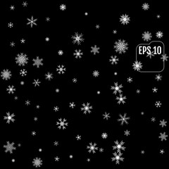 Winter pattern of snowflakes on a black background