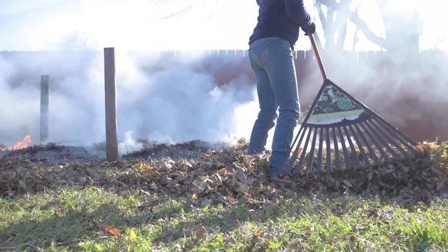 Young healthy attractive Woman wearing fall winter clothing while raking Brown yellow orange leaves outside and burning them during daytime getting seasonal  home chores done during the fall season