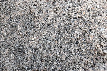 Surface gray natural stone with veined shells light base texture