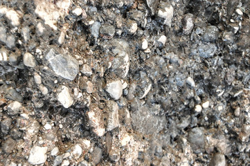 The texture of the rocks of horses