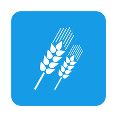 Icono plano espigas de cereales en diagonal en cuadrado azul