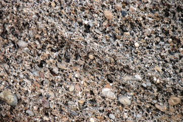 Natural material for construction - texture
