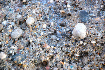Pebble stone on beach, stone texture and background