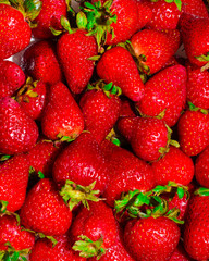 fresas  rojas y frescas muy dulces