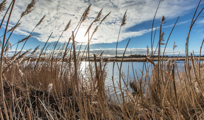 Fototapeta premium wasserlandschaft