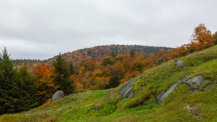 Autumn on Bald Mountain in the Adirondacks