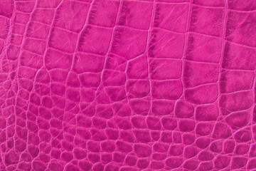 Texture of pink purple genuine leather close-up, with embossed scales reptiles, fashion trend pattern