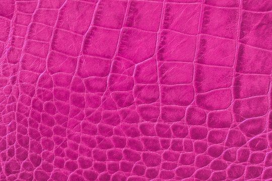 Texture of pink purple genuine leather close-up, with embossed scales reptiles, fashion trend pattern