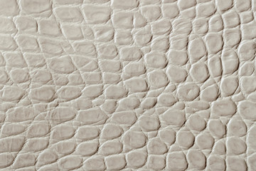 Texture of genuine patent leather close-up, embossed under the skin reptile. For modern pattern, wallpaper or banner design. With place for your text