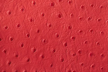 Sierkussen Texture of red genuine Ostrich Stamped leather close-up, fashion, exotic background © svetlanais
