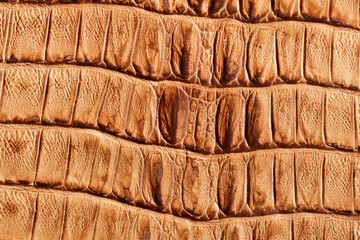 Genuine leather texture with imitation of exotic reptile with a matte surface, trendy background. Concept of shopping, manufacturing